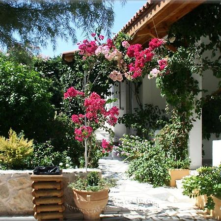 Ampelos Apartment And Studios أكسيروكامبوس المظهر الخارجي الصورة